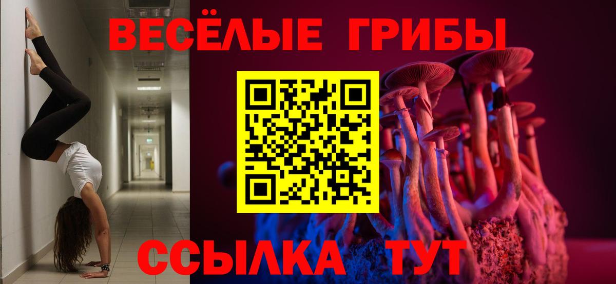 Галлюциногенные грибы Cubensis  Вход с VPN  Дзержинский 